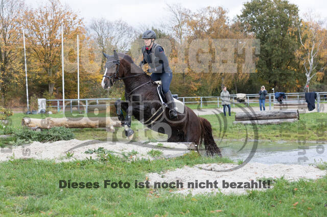 IGV Lehrgang der Sieger der Cups mit Frank Ostholt