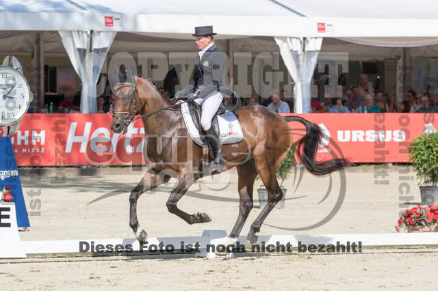 FEI European Championship Eventing 2017