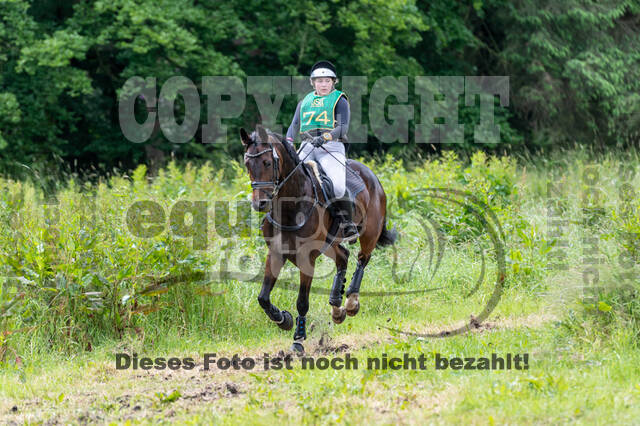 Westerstede Horse Trials (10.-13.06.2021)