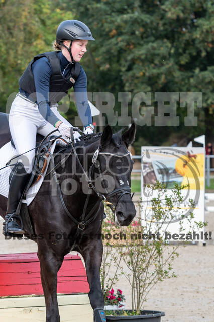 Goldene Schärpe 2020 - Pferde