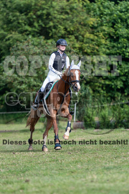 Goldene Schärpe 2021 - Ponys