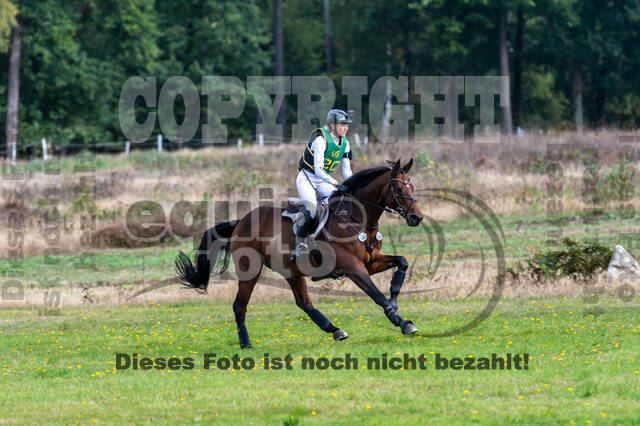 Deutsche Meisterschaft Vielseitigkeit (Luhmühlen)