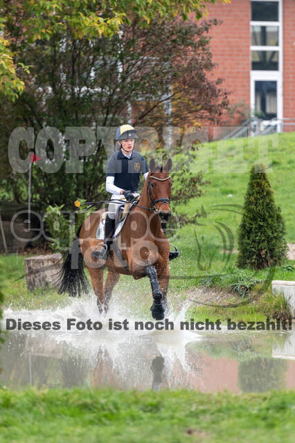 Goldene Schärpe 2020 - Pferde