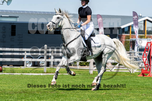 Kronenberg - De Peelbergen (August 2020)