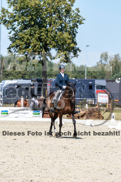 Kronenberg - De Peelbergen (August 2020)