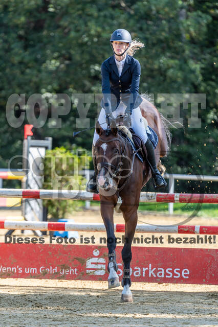 RFV Dinslaken-Hiesfeld (Herbstturnier)