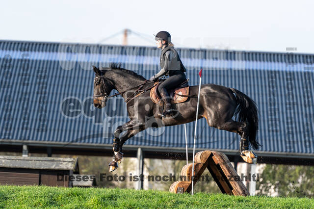 IGV Lehrgang der Sieger der Cups mit Frank Ostholt