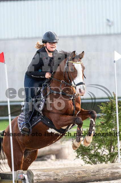 IGV Lehrgang der Sieger der Cups mit Frank Ostholt