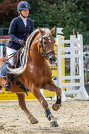 Vielseitigkeit RSV Wesel Obrighoven (26.+27.09.2020)