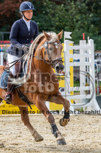 Vielseitigkeit RSV Wesel Obrighoven (26.+27.09.2020)