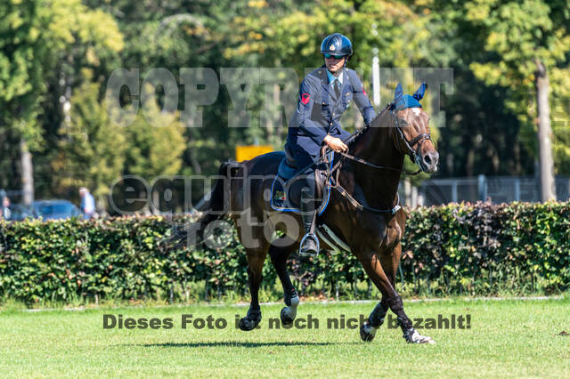 Kronenberg - De Peelbergen (August 2020)