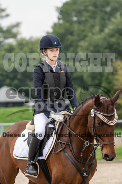 Goldene Schärpe 2020 - Pferde