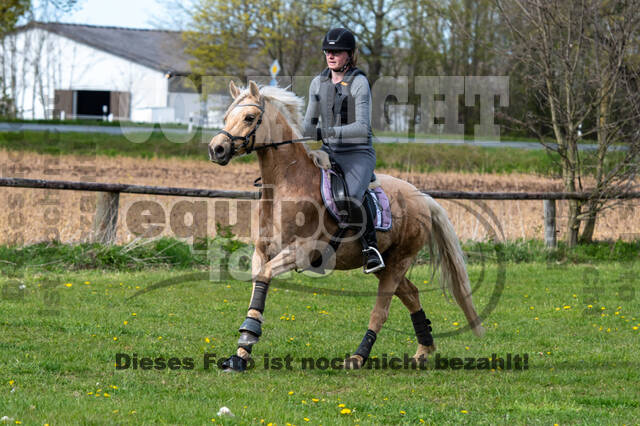 Geländetraining ZRFV Hamminkeln (24+25.04.2021)