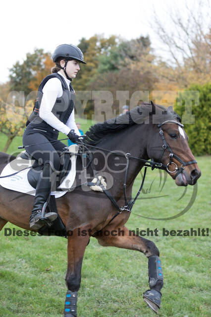 IGV Lehrgang der Sieger der Cups mit Frank Ostholt