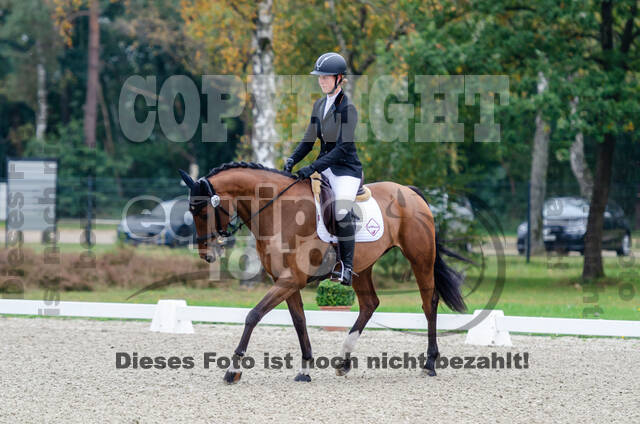 Deutsche Meisterschaft Vielseitigkeit (Luhmühlen)
