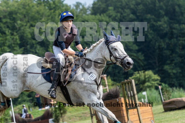 Goldene Schärpe 2021 - Ponys