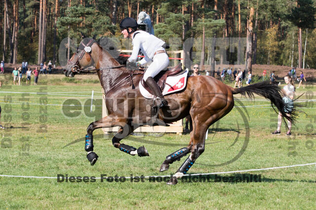 FEI European Championship Eventing 2019