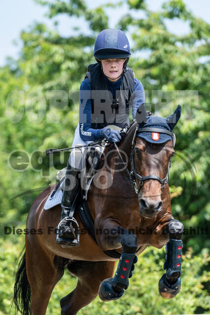 Goldene Schärpe 2021 - Ponys