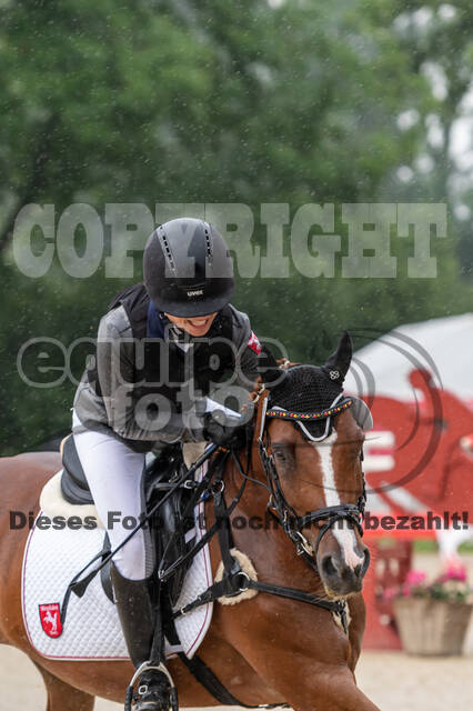 Goldene Schärpe 2021 - Ponys