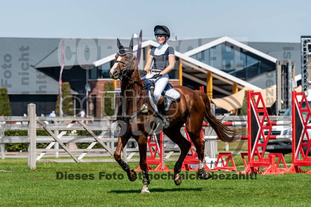 Kronenberg - De Peelbergen (August 2020)