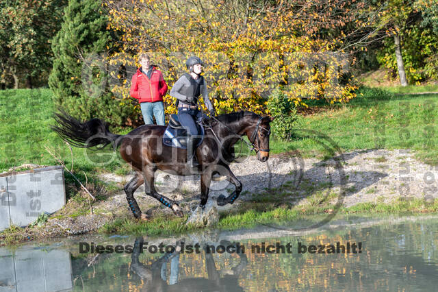 IGV Lehrgang der Sieger der Cups mit Frank Ostholt