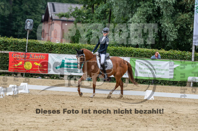 Goldene Schärpe 2021 - Ponys