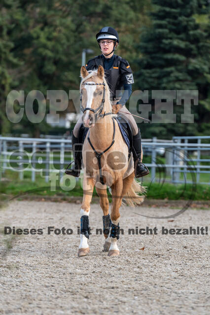 IGV Lehrgang der Sieger der Cups mit Frank Ostholt