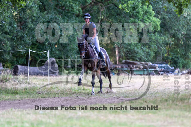 Late-Entry Vielseitigkeit Hamminkeln/Wesel (01.+02.08.2020)