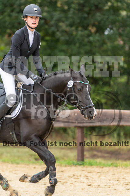 Vielseitigkeit RSV Wesel Obrighoven (26.+27.09.2020)