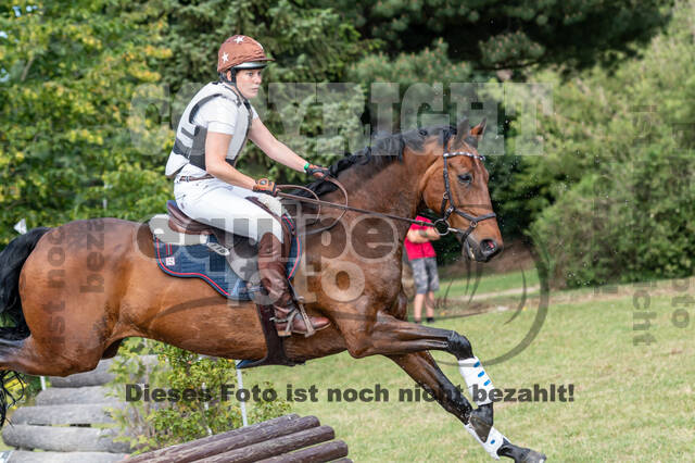 Late-Entry-Vielseitigkeit Langenfeld (11.+13./14.06.2020)