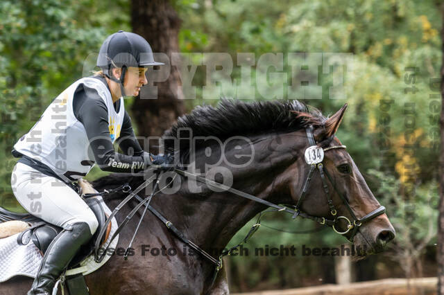 Vielseitigkeit RSV Wesel Obrighoven (26.+27.09.2020)