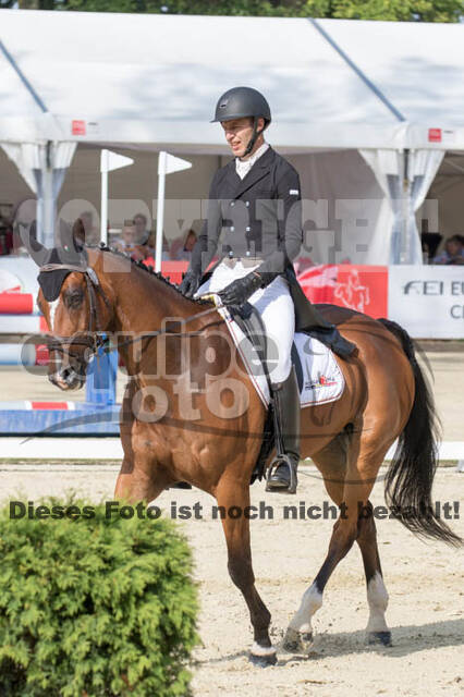 FEI European Championship Eventing 2017