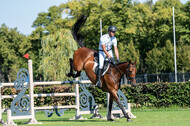 Kronenberg - De Peelbergen (August 2020)
