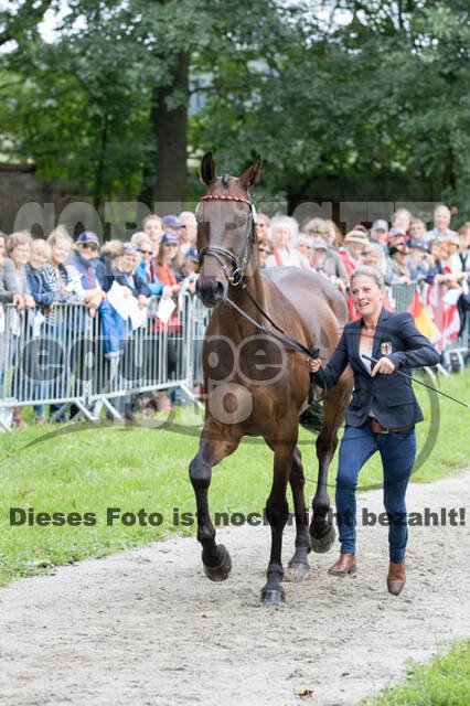 FEI European Championship Eventing 2017