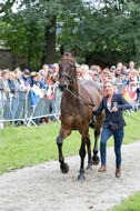 FEI European Championship Eventing 2017