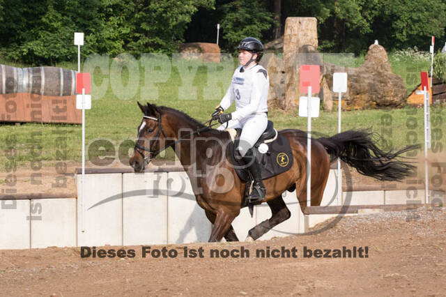 Vielseitigkeitsturnier ZRFV von Lützow Hamminkeln
