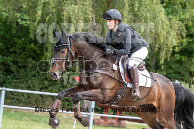 Late-Entry-Vielseitigkeit Langenfeld (11.+13./14.06.2020)