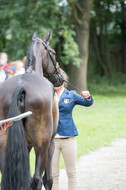 FEI European Championship