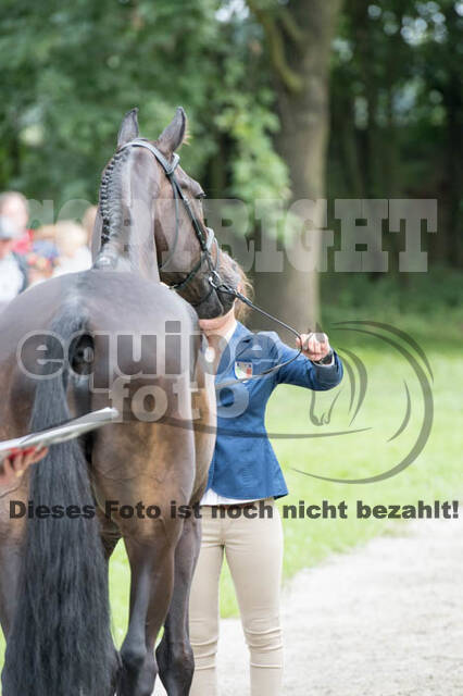 FEI European Championship