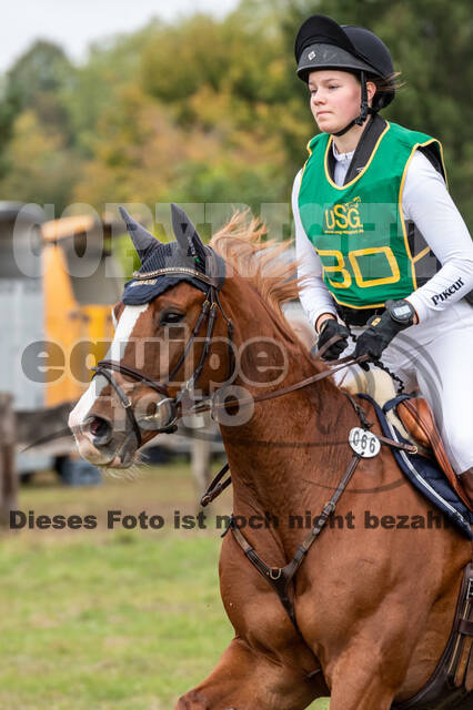 Vielseitigkeit RSV Wesel Obrighoven (26.+27.09.2020)