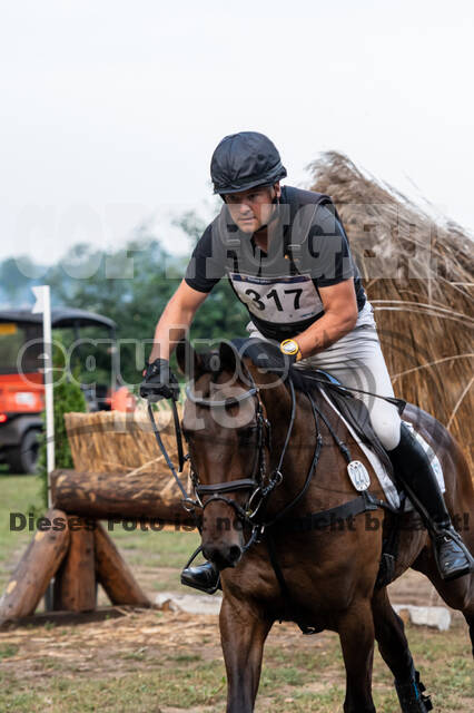 De Peelbergen (August 2020)