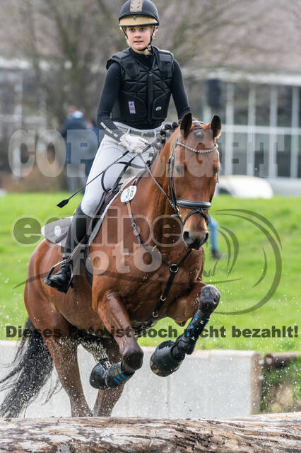 Goldene Schärpe 2020 - Pferde