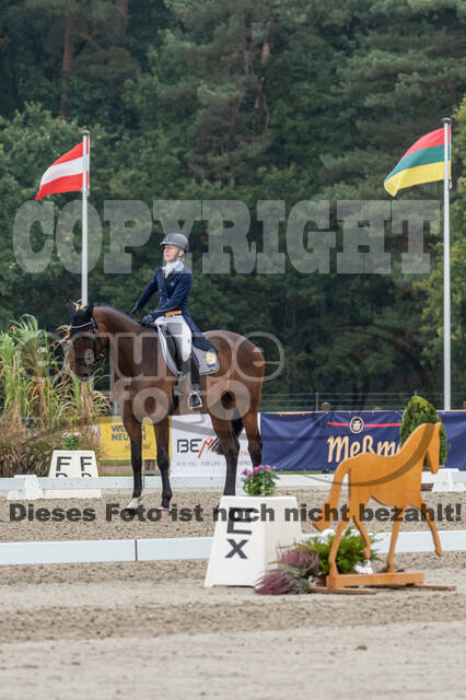 Deutsche Meisterschaft Vielseitigkeit (Luhmühlen)