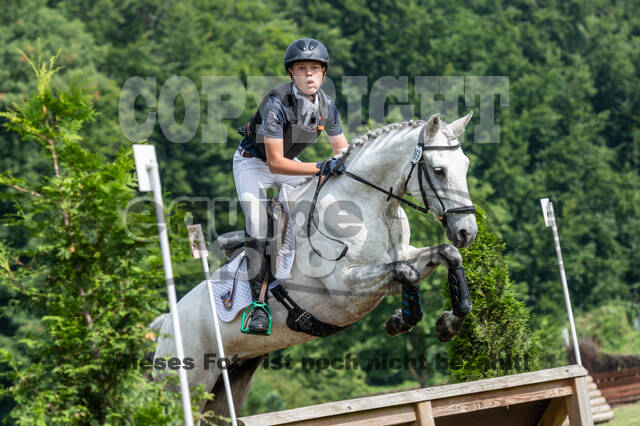 Goldene Schärpe 2021 - Ponys