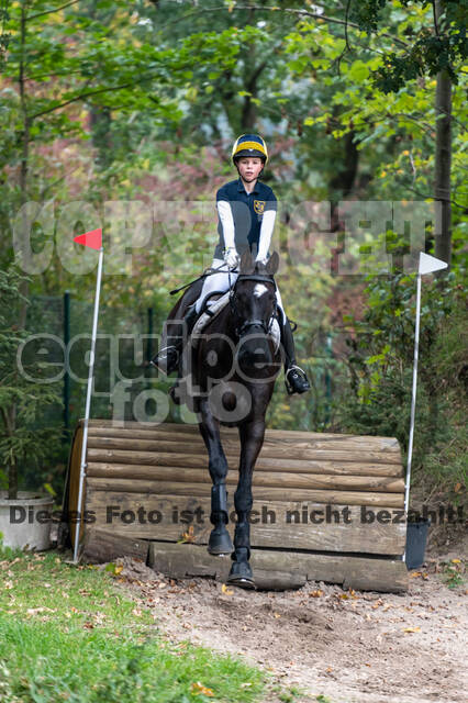 Goldene Schärpe 2020 - Pferde