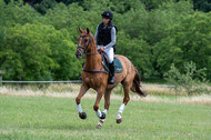 Bonn-Rodderberg Late-Entry-Vielseitigkeit (30.06.2020)