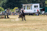 Late-Entry Vielseitigkeit Hamminkeln/Wesel (01.+02.08.2020)