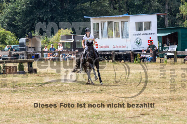 Late-Entry Vielseitigkeit Hamminkeln/Wesel (01.+02.08.2020)