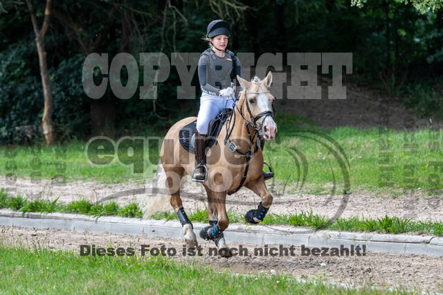 Late-Entry-Vielseitigkeit Langenfeld (06.+07.07.2020)