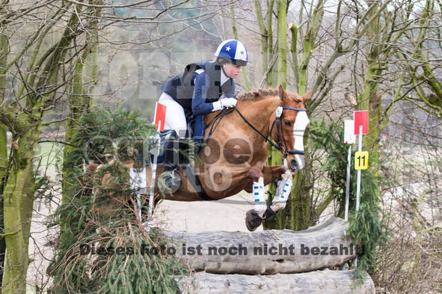 Jungpferdetag Hamminkeln